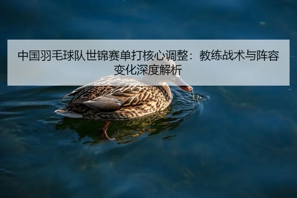 zhong-guo-yu-mao-qiu-dui-shi-jin-sai-dan-da-he-xin-tiao-zheng-jiao-lian-zhan-shu-yu-zhen-rong-bian-hua-shen-du-jie-xi-2-271.jpg